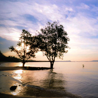 智能办公必备的网络ddos监测分析工具